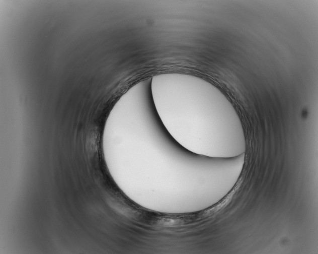 X0000099420174200805090759