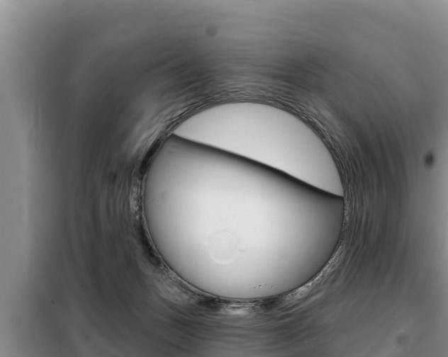 X0000099420175200805090759