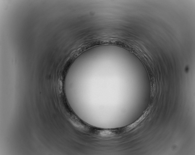 X0000099420183200805090759