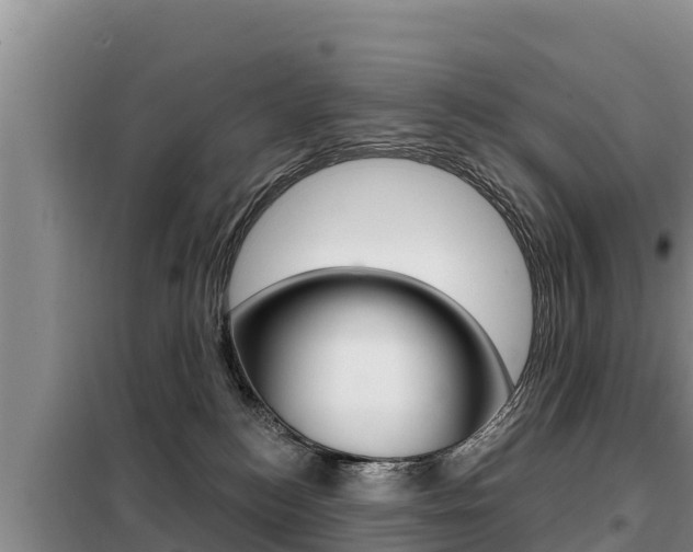 X0000099420184200805090759