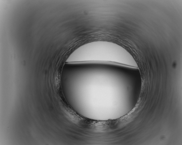 X0000099420186200805090759