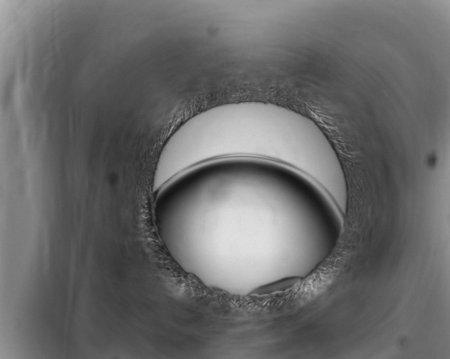 X0000099420192200805090759