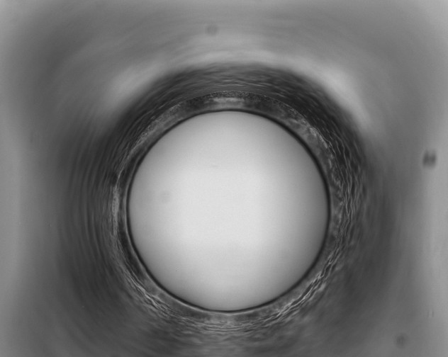 X0000099420194200805090759
