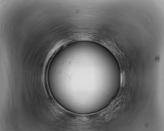 X0000099420195200805090759