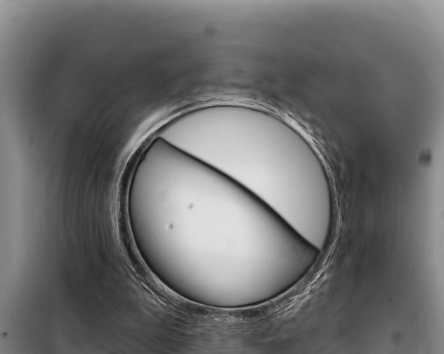 X0000099420199200805090759