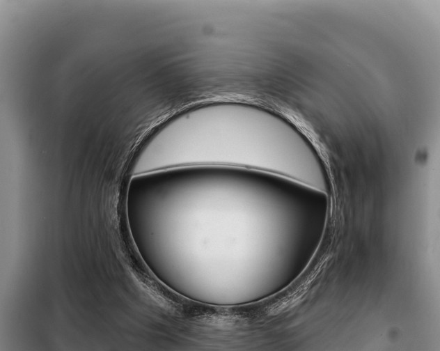 X0000099420201200805090759