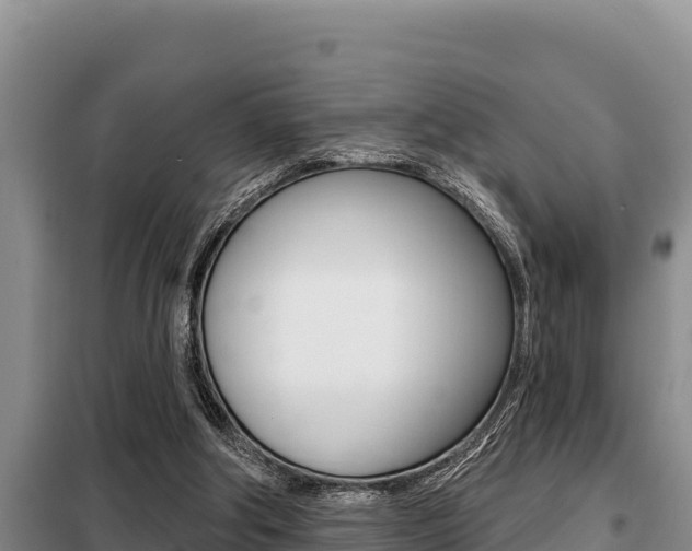 X0000099420202200805090758