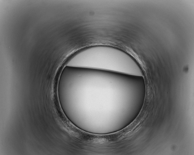 X0000099420203200805090758