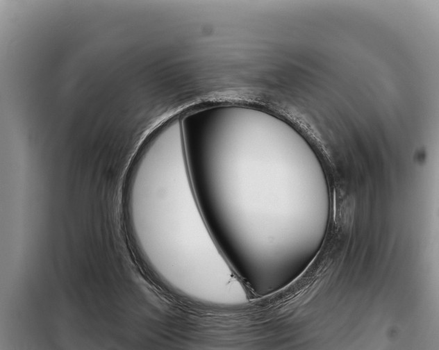 X0000099420204200805090758