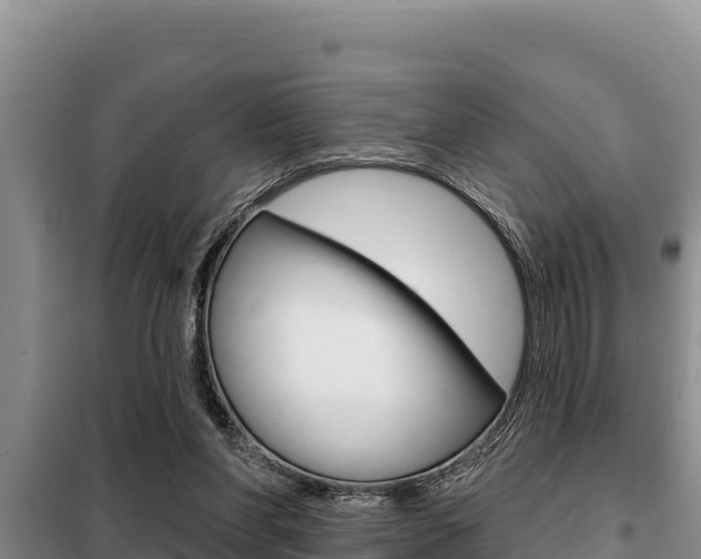 X0000099420206200805090758