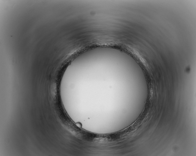 X0000099420211200805090758