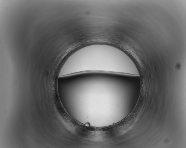 X0000099420212200805090758