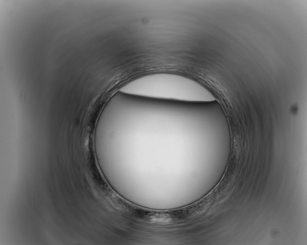 X0000099420214200805090758