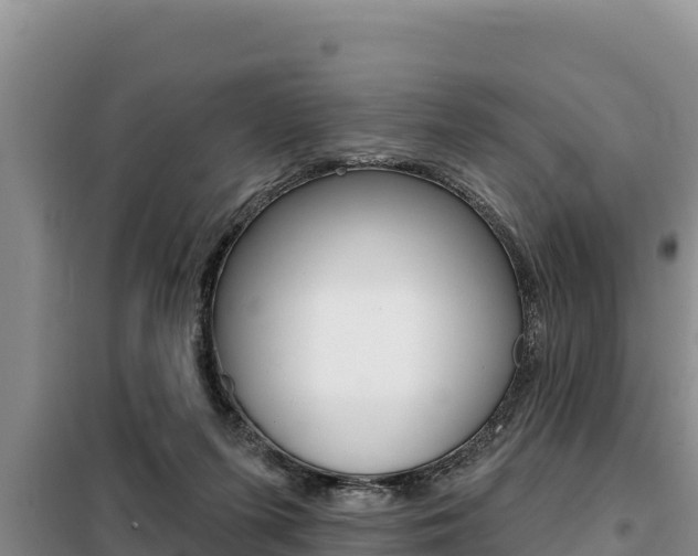X0000099420215200805090758