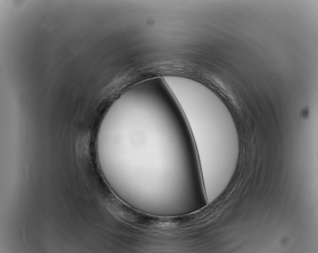 X0000099420217200805090758