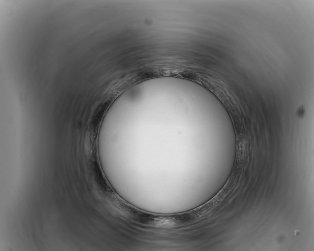 X0000099420218200805090758