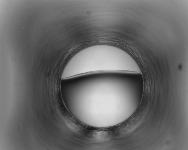 X0000099420220200805090758