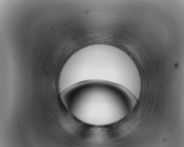 X0000099420221200805090758