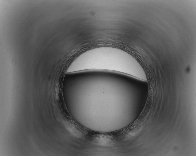 X0000099420223200805090758