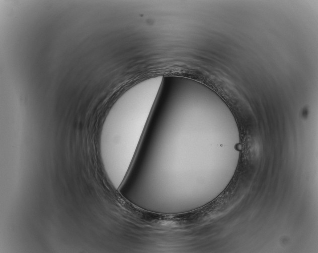 X0000099420224200805090758