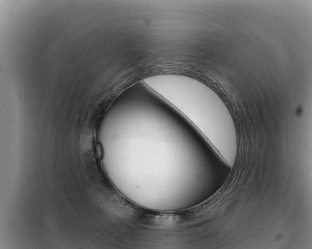 X0000099420225200805090758