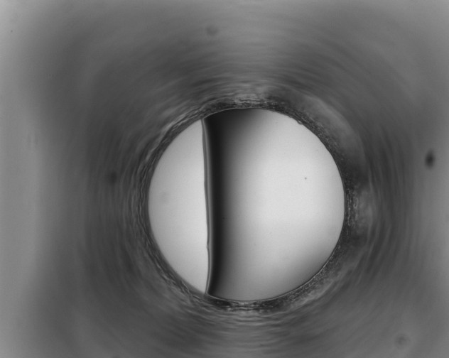 X0000099420228200805090758
