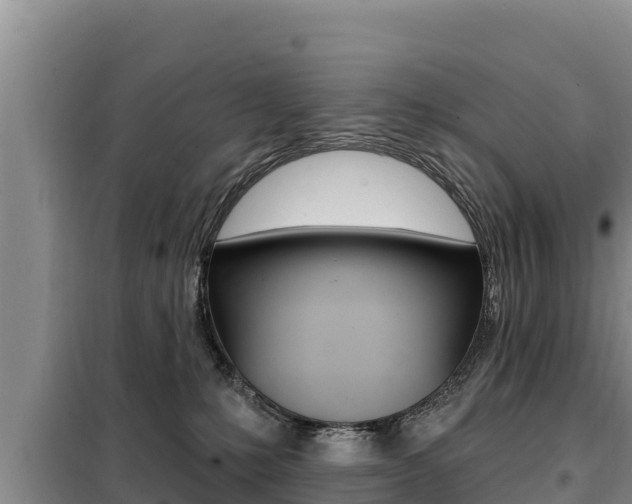 X0000099420231200805090758