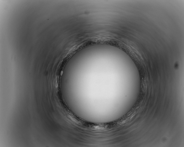 X0000099420232200805090758