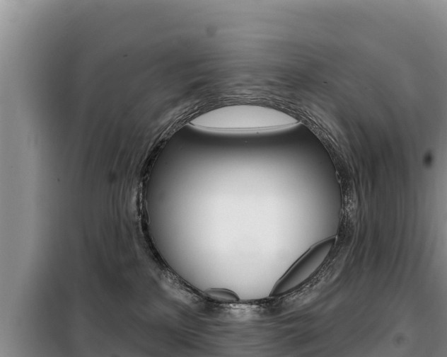 X0000099420233200805090758