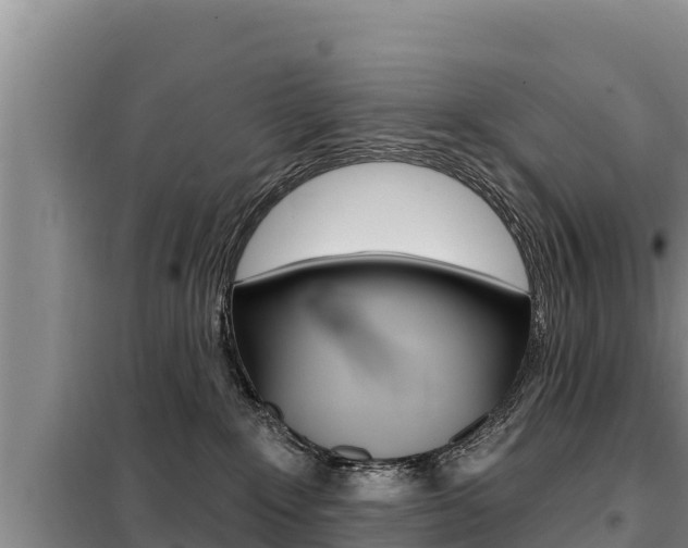 X0000099420235200805090758