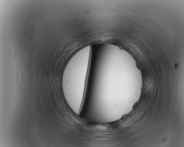 X0000099420236200805090758