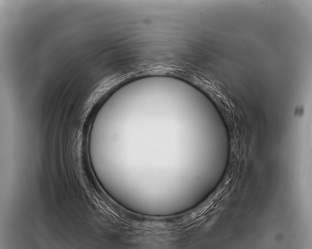 X0000099420242200805090757