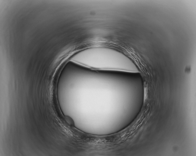 X0000099420243200805090757