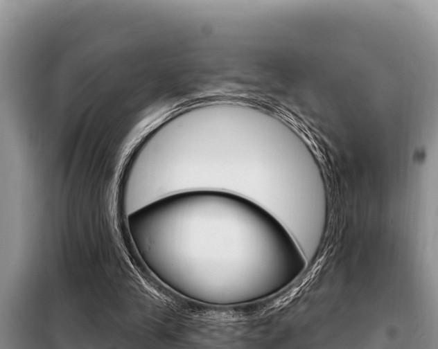 X0000099420245200805090757