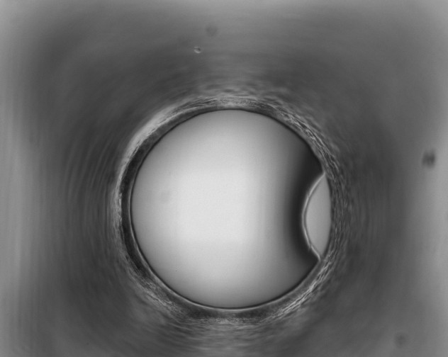 X0000099420246200805090757