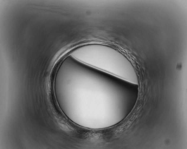 X0000099420247200805090757