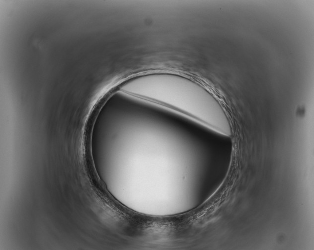 X0000099420248200805090757