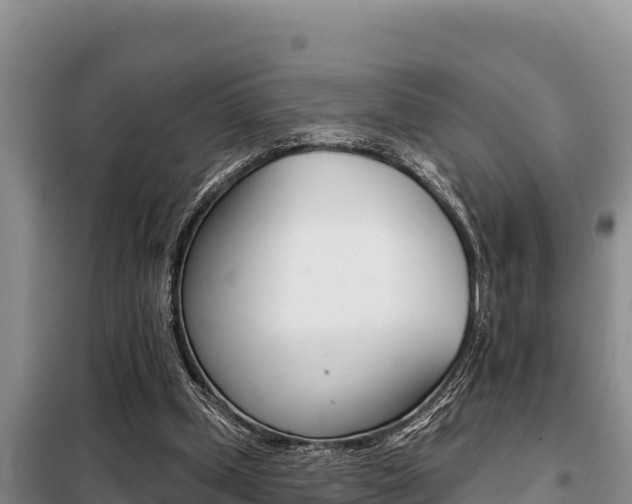X0000099420249200805090757