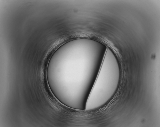 X0000099420250200805090757