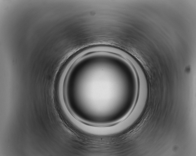 X0000099420252200805090757