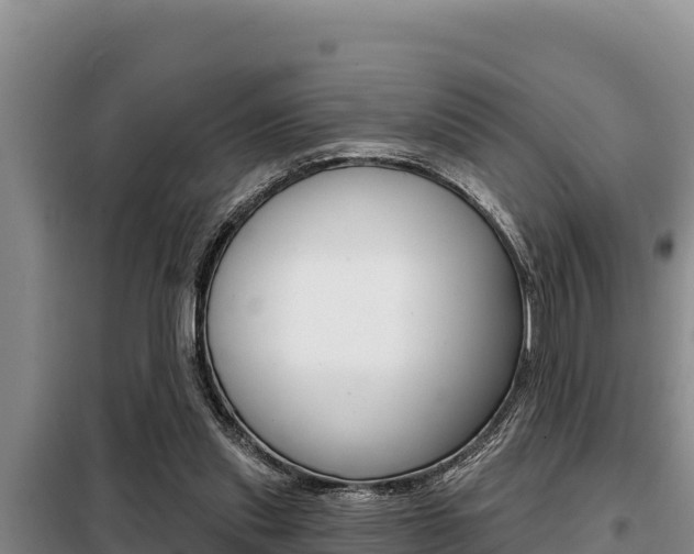 X0000099420253200805090757