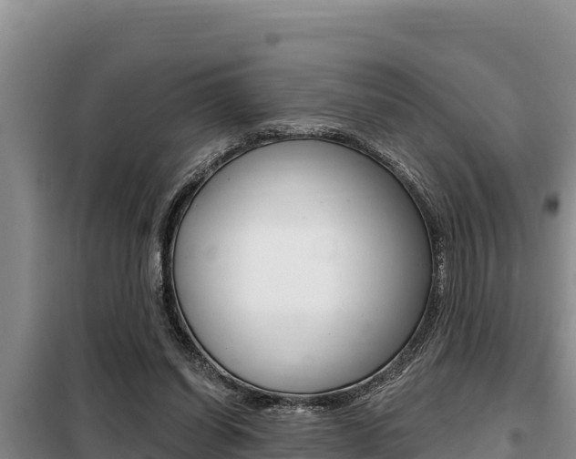 X0000099420254200805090757