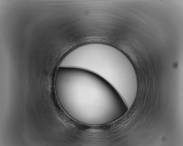 X0000099420255200805090758