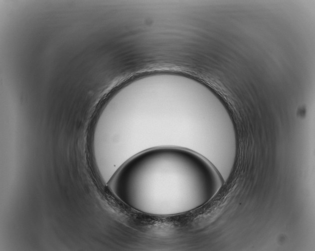 X0000099420256200805090758