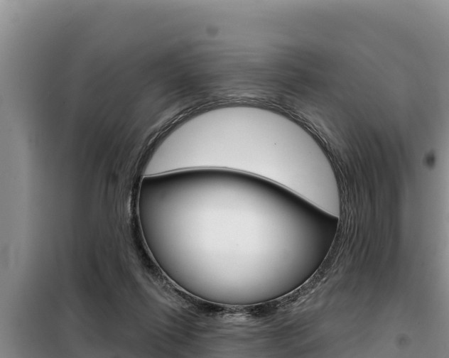 X0000099420262200805090758