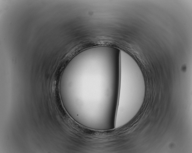 X0000099420263200805090758