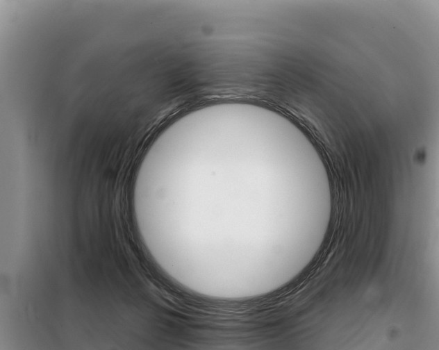 X0000099420264200805090758