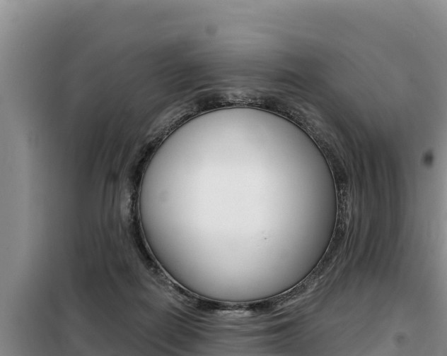 X0000099420266200805090758