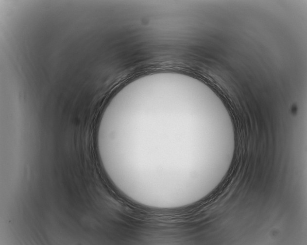 X0000099420268200805090758