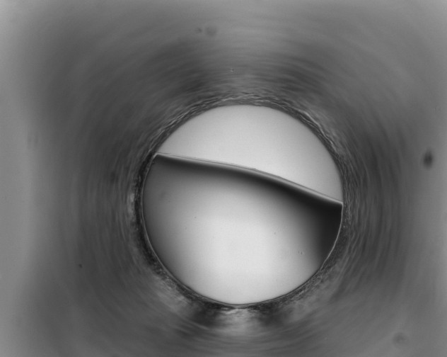X0000099420269200805090758